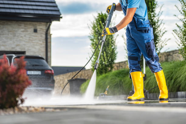 Animal Enclosure Cleaning in Johnson City, TX